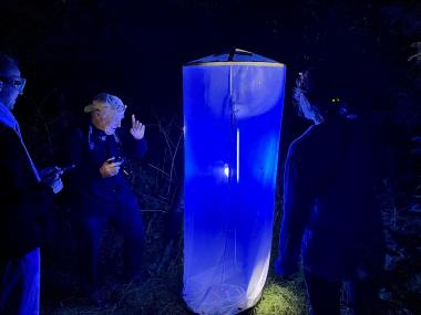Bei der Insektennacht des Naturschutzzentrums Kreis Coesfeld e.V. und des LWL-Museums für Naturkunde können mit einem Experten die nachtaktiven Insekten beobachtet werden.<br>Foto: Jan Ole Kriegs