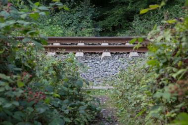 Bei einer Exkursion zur Halde Zollern gibt es Pflanzen und Tiere zu sehen, die sich rund um die alten Industrieanlagen ihren Lebensraum zurückerobert haben.<br>Foto: LWL/Hudemann