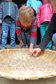 Die einzelnen Verarbeitungsschritte stehen in der Themenwoche im Fokus.<br>Foto: LWL/Jähne