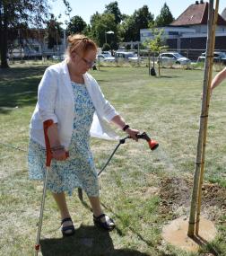Baumbewässerung: Regina Winkelmann<br>Foto: LWL/Werne