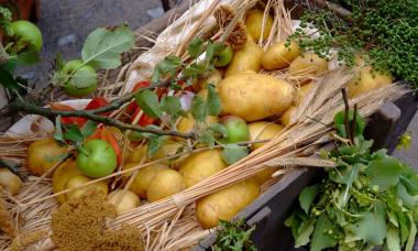 Rund um die nahrhafte Knolle dreht sich alles beim Kartoffelfest in der Ziegelei Lage.<br>Foto: LWL /Ullrich