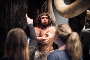 Zahlreiche Ferienangebote laden zum Entdecken ein im LWL-Museum für Naturkunde.<br>Foto: LWL/Steinweg
