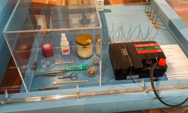 Exponate in der Ausstellung "Boten, Helfer und Gefährten": Links ein Erste-Hilfe-Set für Stadttauben, rechts eine elektrische Taubenabwehr.<br>Foto: LWL/ Grote