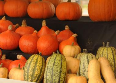 Aus Kürbissen lustige oder gruselige Gesichter schnitzen können Kinder in den Herbstferien auf Zeche Nachtigall.<br>Foto: LWL / Appelhans