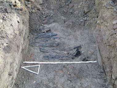 Deutlich erkennt man im Boden die Nord-Süd-ausgerichteten Äste, die den Unterbau des Bohlenweges bildeten <br>Foto: LWL-Archäologie für Westfalen/Maria Hahne