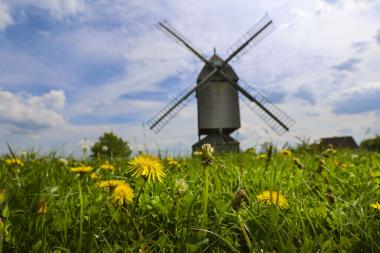 Das LWL-Freilichtmuseum Detmold zieht ein positives Fazit der Saison.<br>Foto: LWL/Gerstendorf-Welle