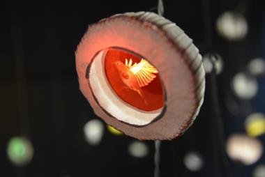 Detail der Installation "Vivarium" von Tinne Vroonen für die Ausstellung "Gravur on Tour".<br>Foto: Tonny Nijkrake