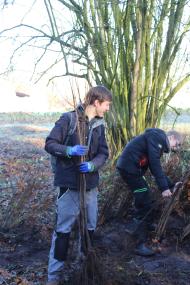 Ab sofort können sich Interessierte um eine Stelle im Freiwilligen Ökologischen Jahr bewerben.&lt;br&gt;Foto: LWL 