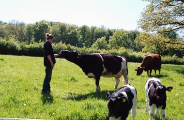 Ab dem 1. Februar können sich Intere¬ssierte um eine Stelle im Freiwilligen Ökologischen Jahr bewerben.&lt;br&gt;Foto: LWL/Lakenbrink 