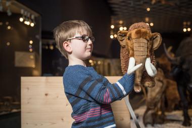 Die Tiere der Eiszeit stehen im Mittelpunkt eines Ferienangebotes des LWL-Museums für Naturkunde.&lt;br&gt;Foto: LWL/Steinweg 
