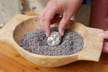 Schönheit der Natur: Beim Osterferienprogramm im Kloster Dahlheim werden Blüten und Kräuter zu duftenden Seifen verarbeitet.<br>Foto: LWL/Kruck