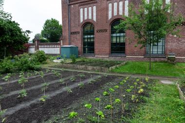 Im Arbeitergarten der Zeche Zollern gibt es Einblicke in die Selbstversorgung der Bergleute.<br>Foto: LWL/Dierkes