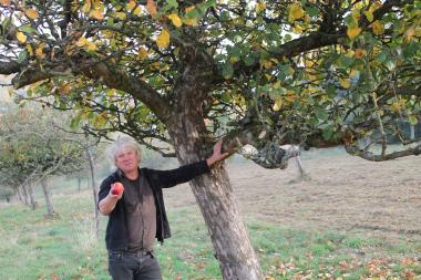 Gärtnermeister Martin Bartsch auf einer Streuobstwiese der LWL-Klinik Hemer.<br>Foto: LWL/Herstell