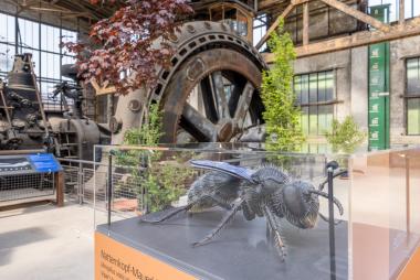Am Internationalen Museumstag dreht sich in der Henrichshütte alles um die neue Ausstellung "IndustrieInsekten".<br>Foto: LWL/Harms