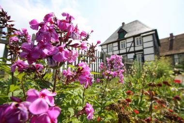 Am Sonntag ist der Eintritt ins LWL-Freilichtmuseum Detmold frei.<br>Foto: LWL/Jähne