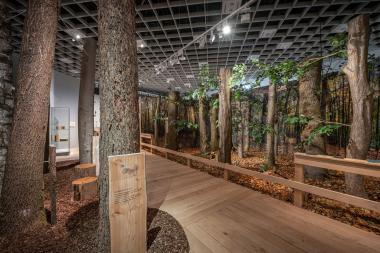 Am 11. Juni schließt die Ausstellung "Alleskönner Wald" im LWL-Museum für Naturkunde ihre Türen.<br>Foto: LWL/Steinweg