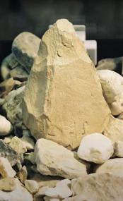 Neandertaler stellten diesen Knochenfaustkeil vor 70.000 bis 80.000 Jahren aus dem Oberschenkelknochen eines Mammuts her.<br>Foto: LWL- Altertumskommission für Westfalen