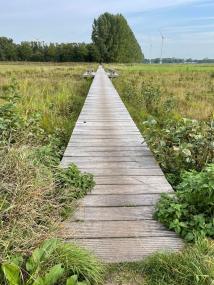Mit dem Fahrrad führt die Tour mitten durch die Natur.<br>Foto: LWL/Lensing