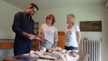 Dr. Christian Pott, Paläontologe des LWL, nimmt die Sammlung in Augenschein. Die Enkelkinder des Sammlers, Annette Schepsmeier (M.) und Friederike Jäger-Förster, hatten sich entschlossen, die "Sammlung Heinrich Habbe" dem LWL-Museum für Naturkunde als Schenkung zu übertragen.<br>Foto: LWL/Hethke