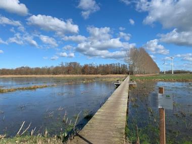 In den niederländischen Achterhoek führt die Radtour des Förderkreises.<br>Foto: LWL / Lensing