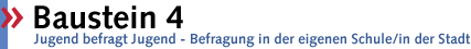 Baustein 4 - Jugend befragt Jugend - Befragung in der eigenen Schule/in der Stadt