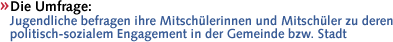 Die Umfrage: Jugendliche befragen ihre Mitschülerinnen und Mitschüler zu deren politisch-sozialem Engagement in der Gemeinde, bzw. Stadt