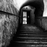 Platz 1: Alexander Lüders - Treppe aus der Unterwelt (vergrößerte Bildansicht wird geöffnet)