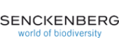 Senckenberg