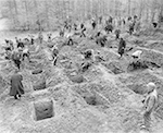 Unter Bewachung der 95. Infanterie-Division durch Deutsche ausgehobene Gräber für die ermordeten Zwangsarbeiter in Suttrop. Fototext: "95th U.S. Army Troops occupying Suttrop, Germany [...]. Led by informers to huge common grave containing bodies of 57 Russians, victims, included many women and one baby. Russians are said to have been forced to dig own grave and then forced to kneel at edge of it so that their dead bodies fell into grave when they were shot. German civilians exhumed bodies on orders of American officers, attempted to identify them with aid of russian displaced persons and then reburried them in individual graves. A U.S. Army chaplain performed burial rites, and wreaths were placed on the graves by remaining Russians, before burial of the bodies. All German civilians in the vicinity of the town were ordered to walk past the atrocity victims." / NARA, Washington