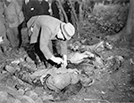 Durchsuchung der Leiche eines durch Genickschuss ermordeten Zwangsarbeiters nach Personalpapieren, Suttrop. Fototext: "Members of the U.S. Ninth Army occupying Suttrop, Germany, were led by informers to a huge grave containing bodies of 57 Russians including many women and one baby, who were forced to dig their own grave, made to kneel at the edge of it so that their dead bodies fell into the grave when they were shot. German civilians were made to exhume bodies on orders of American officers so that with the aid of Russian displaced persons the victims could be identified, and then made to rebury them in individual graves. Here a German civilian goes through the clothing of a corpse for possibility of identification." Freigabe durch den Field Press Censor am 05.05.1945. / NARA, Washington