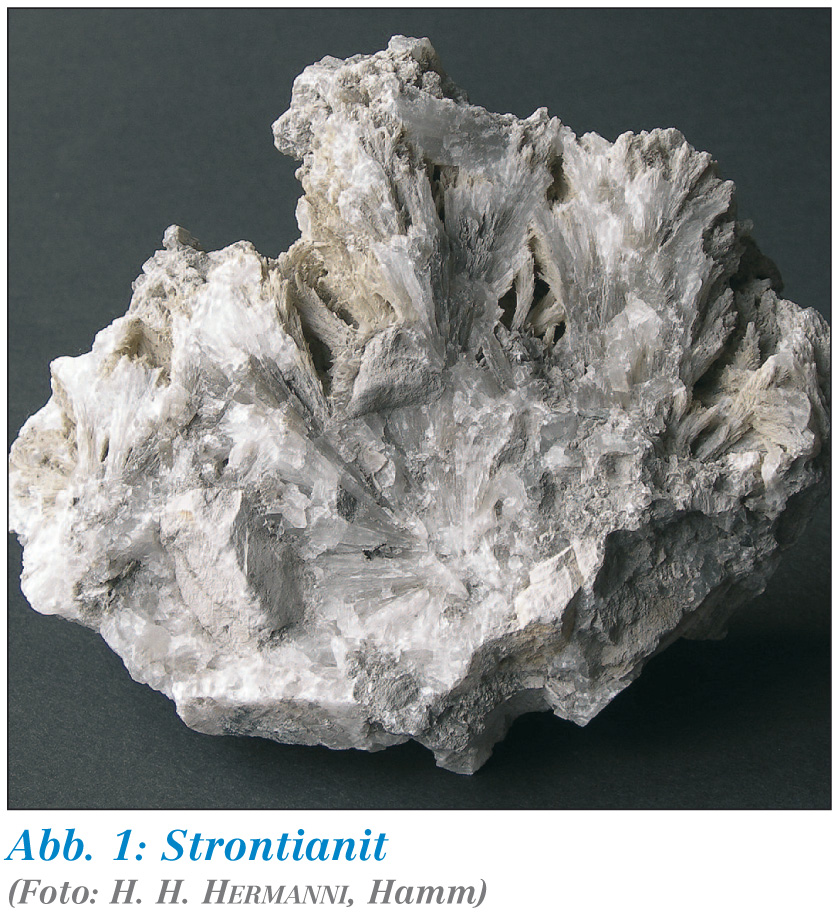 Der Wasserfilter des Urzeitmenschen und die Mineralien