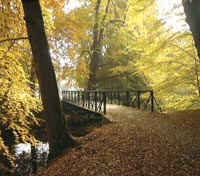 Herbststimmung im Bagno am Schloss in Steinfurt-Burgsteinfurt