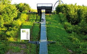 Treppe zum Haldentop