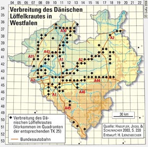 Verbreitung des Dänischen Löffelkrautes in Westfalen