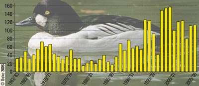 Mittlerer Bestand der Schellente 1962/63 bis 2005/06