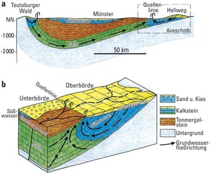 Grundwasserflussmodelle Münsterländer Becken und Hellweggebiet