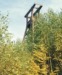 Industriewald Zollverein