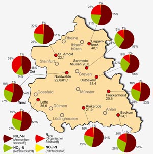 Stickstoffdepositionen im Dienstbezirk des Staatlichen Umweltamtes Münster