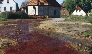 Kütfelsen und Pumpenhaus der Unitasquelle in Salzkotten