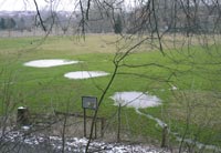 Quellschwemmkegelreihe bei Niederntudorf