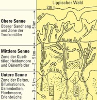 Naturräumliche Feingliederung der südöstlichen Senne