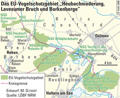 Das EU-Vogelschutzgebiet Heubachniederung, Lavesumer Bruch und Borkenberge