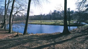 Die Gräftenhofwüstung Schulte Hinderking im Dülmener Wildpark