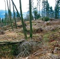 Pingenzug am Eisenberg