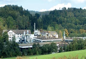 Die Olsberger Hütte heute