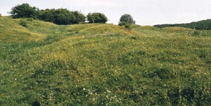 Giershagen, Pingenfeld im Grünland