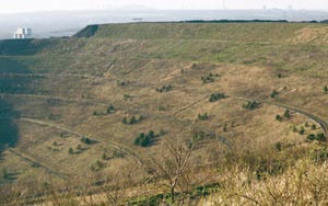 Haldenlandschaft Hoheward