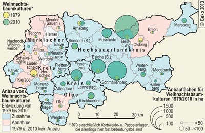 Weihnachtsbaumkulturen in den Kommunen der drei Sauerlandkreisen 1979 und 2010