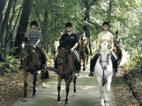 Reiten im Wald