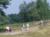 Wandern auf der Heide